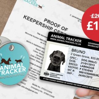 Pet Identification Bundle