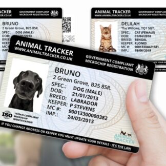 Pet Identification Cards (2 cards per pack)